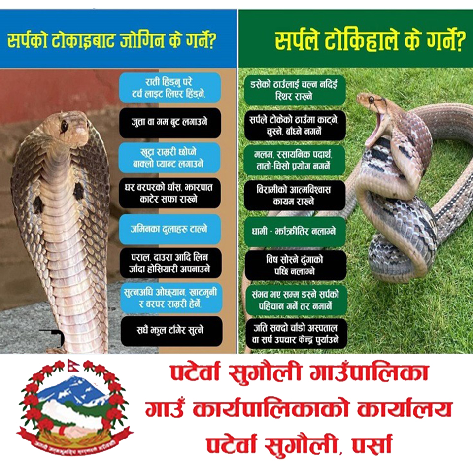 Paterwa sugauli