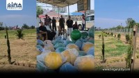 वीरगंजलाई हराभरा बनाउने अभियान अन्तर्गत विपी उद्यान पार्कमा काम तीव्र