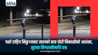पर्सा राष्ट्रिय निकुञ्जबाट सालको काठ चोरी निकासीको आशंका, सुरक्षा निगरानीमाथि प्रश्न