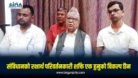 संविधानको रक्षाका लागि परिवर्तनकारी शक्तिबीच एकता आवश्यक : माधवकुमार नेपाल