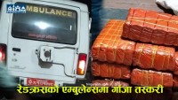 सर्लाहीमा  रेडक्रसको एम्बुलेन्सबाट ५१ किलो बढी गाँजा बरामद, चालक पक्राउ