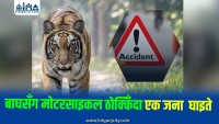 बाघसँग माेटरसाइकल ठाेक्किदा एक जना घाइते