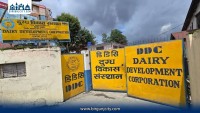 मधेस प्रदेशको मुख्यमन्त्री कार्यालय परिसरमा डीडीसीको दुग्धजन्य सामग्री बिक्री स्टल सञ्चालन हुने तयारी