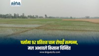 पर्सामा ९२ प्रतिशत धान रोपाइँ सम्पन्न, मल अभावले किसान चिन्तित
