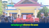 झाडीमा लुकाएर राखिएको ३ सय ७० किलो गाँजा फेला