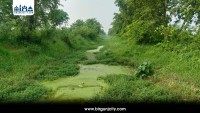 गण्डक नहरको पानी नपाउँदा किसान संकटमा, सिंचाइ कार्यालयमाथि लापरवाहीको आरोप