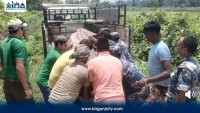 रौतहटमा लुकाइराखिएको ६० हजार मूल्य बराबरको अवैध सालको काठ बरामद