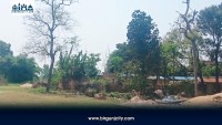 वन अतिक्रमणविरुद्धको अभियान सूचनामै सीमित, कार्यान्वयन सुस्त