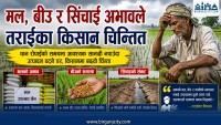 पर्सासहित मधेसका किसान समस्यामा मल, बीउ र सिंचाइ अभावले तराईका किसान चिन्तित