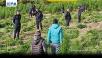 महोत्तरी प्रहरीद्वारा चुरे क्षेत्रका अवैध गाँजा बोट फँडानी