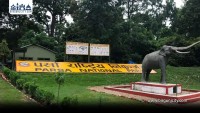 चितवनको भर नपरी अब पर्सा निकुञ्जमै वन्यजन्तु उद्धारका लागि नयाँ टोली सक्रिय, बाघदेखि सर्पसम्मको सफल रेस्क्यु