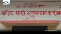 बाराको राष्ट्रिय पन्छी अनुसन्धान केन्द्रमा बर्डफ्लु, रु ५० लाख बराबरको क्षति