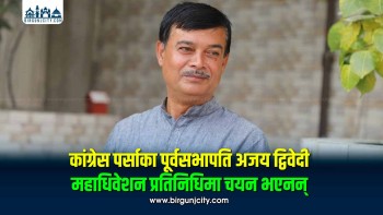 कांग्रेस पर्साका पूर्वसभापति अजय द्विवेदी महाधिवेशन प्रतिनिधिमा परेनन्