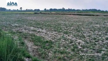 तराई–मधेशमा गहिरिँदै जलसङ्कट, भूमिगत पानी घट्दै जनजीवन प्रभावित