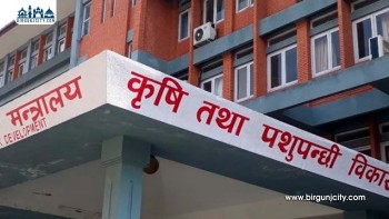 तरकारी तथा फलफूलमा विषादी प्रयोग नियन्त्रण गर्न कृषि मन्त्रालयको आग्रह