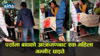 पर्सामा बाघको आक्रमणबाट एक महिला गम्भीर घाइते