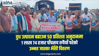 दुध उत्पादन बढाउन ५० प्रतिशत अनुदानमा एक लाख ७४ हजार ५०० रुपैयाँ परेकाे उन्नत जातका भैँसी वितरण