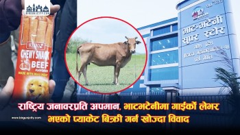 राष्ट्रिय जनावरप्रति अपमान : वीरगञ्जकाे भाटभटेनीमा गाईको फ्लेभर भएको प्याकेट बिक्री गर्न खोज्दा विवाद (भिडियाे सहित)
