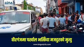 वीरगंजमा घरको पर्खाल भत्किँदा मजदुरको मृत्यु