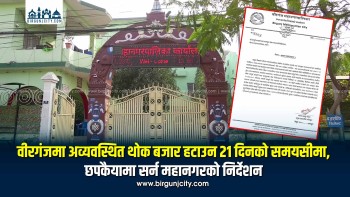 वीरगंजमा अव्यवस्थित थोक बजार हटाउन २१ दिनको समयसीमा,  छपकैयामा सर्न महानगरको निर्देशन
