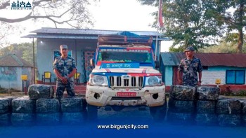 तरकारी बोकेको पिकअपमा ५७० किलो गाँजा, चालक फरार