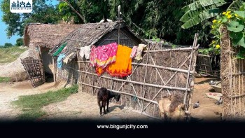 तीन पुस्ता नागरिकताविहीन, अदालतको आदेशपछि पनि बनेन सिफारिस