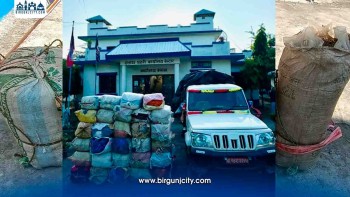 उदयपुरमा ठूलो परिमाणमा गाँजा बरामद, १ युवक प्रहरी नियन्त्रणमा