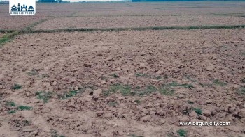 मधेसमा ५१ प्रतिशत खेतीयोग्य जमिन अझै सिँचाइबाट वञ्चित