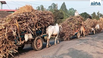 समर्थन मूल्य कम भएको गुनासो
