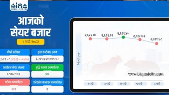 सेयर बजार २६ सयमुनि झर्‍यो, सबै सूचक घटे