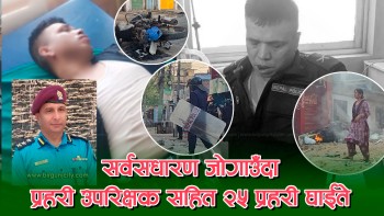 सर्वसधारणलाई जोगाउदाँ पर्साका प्रहरी उपरिक्षक सहित २५ प्रहरी घाईते, २ दर्जनबढी सर्वसधारण घाईते [ भिडियाे रिपाेर्ट सहित ]