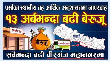 पर्साका स्थानीय तह आर्थिक अनुशासनमा लापरवाह १३ अर्बभन्दा बढी बेरुजू, सबैभन्दा बढी वीरगंज महानगरमा (भिडियो रिपोर्ट)