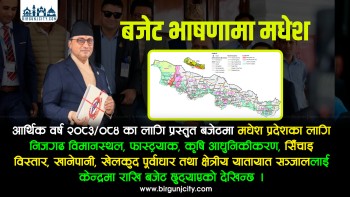 मधेश प्रदेशका लागि संघकाे बजेटमा निजगढ विमानस्थलदेखि सिँचाइसम्म प्राथमिकता (विस्तृत)