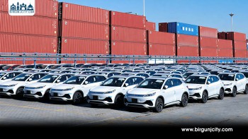 वीरगंज नाकाबाट विद्युतीय सवारी आयातमा १०२ प्रतिशत वृद्धि (भिडियो सहित)