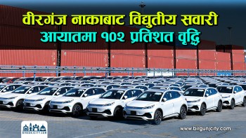 वीरगंज नाकाबाट विद्युतीय सवारी आयातमा १०२ प्रतिशत वृद्धि | Electric vehicle  (भिडियो रिपोर्ट)