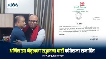 अनिलकुमार झा नेपाली कांग्रेसको केन्द्रीय सदस्यमा मनोनीत