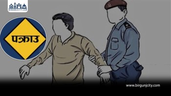 ५ किलोभन्दा बढी गाँजासहित दुई जना पक्राउ