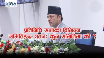 प्रतिनिधि सभाका विभिन्न समितिहरू गठनः कुन समितिमा को ?