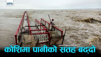 लगातार वर्षापछि सप्तकोशीमा पानीको बहाव बढ्यो, खतरा संकेतकाे बत्ती बालियो