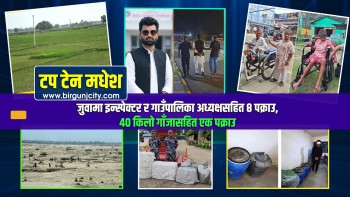 जुवाको आरोपमा इन्स्पेक्टर र गाउँपालिका अध्यक्षसहित ८ पक्राउदेखि ४० किलो गाँजासहित एक पक्राउसम्म