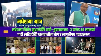 मधेशमा वित्तीय सुधारदेखि बाढी–डुबानसम्म : ३ करोड ५० लाखको गाडी खरिददेखि धानबालीमा रोग र लागूऔषध पक्राउसम्म | मधेशमा आज | Top 10 Madhesh