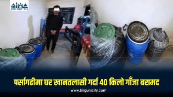पर्सागढीमा घर खानतलासी गर्दा ४० किलो गाँजा बरामद, घरधनी पक्राउ