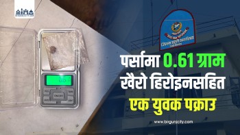 पर्सामा ०.६१ ग्राम खैरो हिरोइनसहित एक युवक पक्राउ