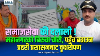 महानगरको बिरुवा चोरी, पहुँच बढाउन प्रहरी प्रशासनबाट वृक्षरोपण