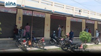 हरिवनमा लेखापढी व्यवसायीको आन्दोलन, मालपोत–नापी सेवा ठप्प