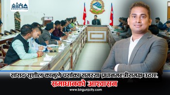 सांसद सुशील कानुले पर्साका समस्या प्रधानमन्त्रीसमक्ष उठाए, समाधानको आश्वासन | Sushil kumar kanu | parsa2 (भिडियो रिपोर्ट)