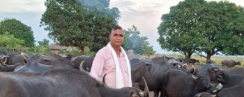 पुस्तौँदेखि पशुपालन, परम्परा जोगाउँदै परिवार