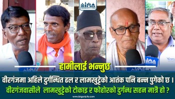 वीरगंजमा अहिले लामखुट्टे नियन्त्रणका लागि औषधि छर्कने र सरसफाइ गर्ने काम नियमित भइरहेको छ कि छैन ?