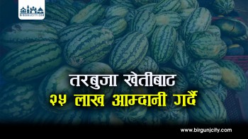विदेशबाट फर्किएका युवा रामध्यान मण्डलको तरबुजा खेतीमा सफलता २५ लाख आम्दानी गर्दै (भिडियो रिपोर्ट)
