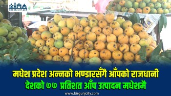 मधेश प्रदेश अन्नको भण्डारसँगै आँपको राजधानी ,देशभर उत्पादन हुने आँपमध्ये ७७ प्रतिशतभन्दा बढी योगदान मधेशकै